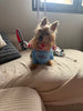 User picture 4